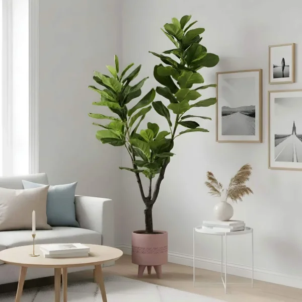 FICUS LYRATA ARTIFICIALE 180CM