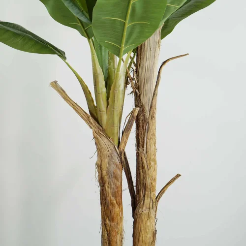 PIANTA ARTIFICIALE BANANO 200 CM