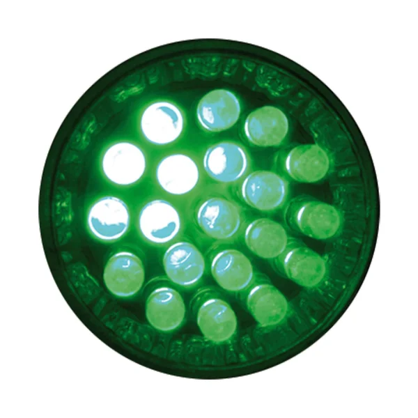 LAMPADINA DIRETTA 2A LED 1W VERDE
