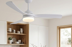 Ventilatori da soffitto per cucina